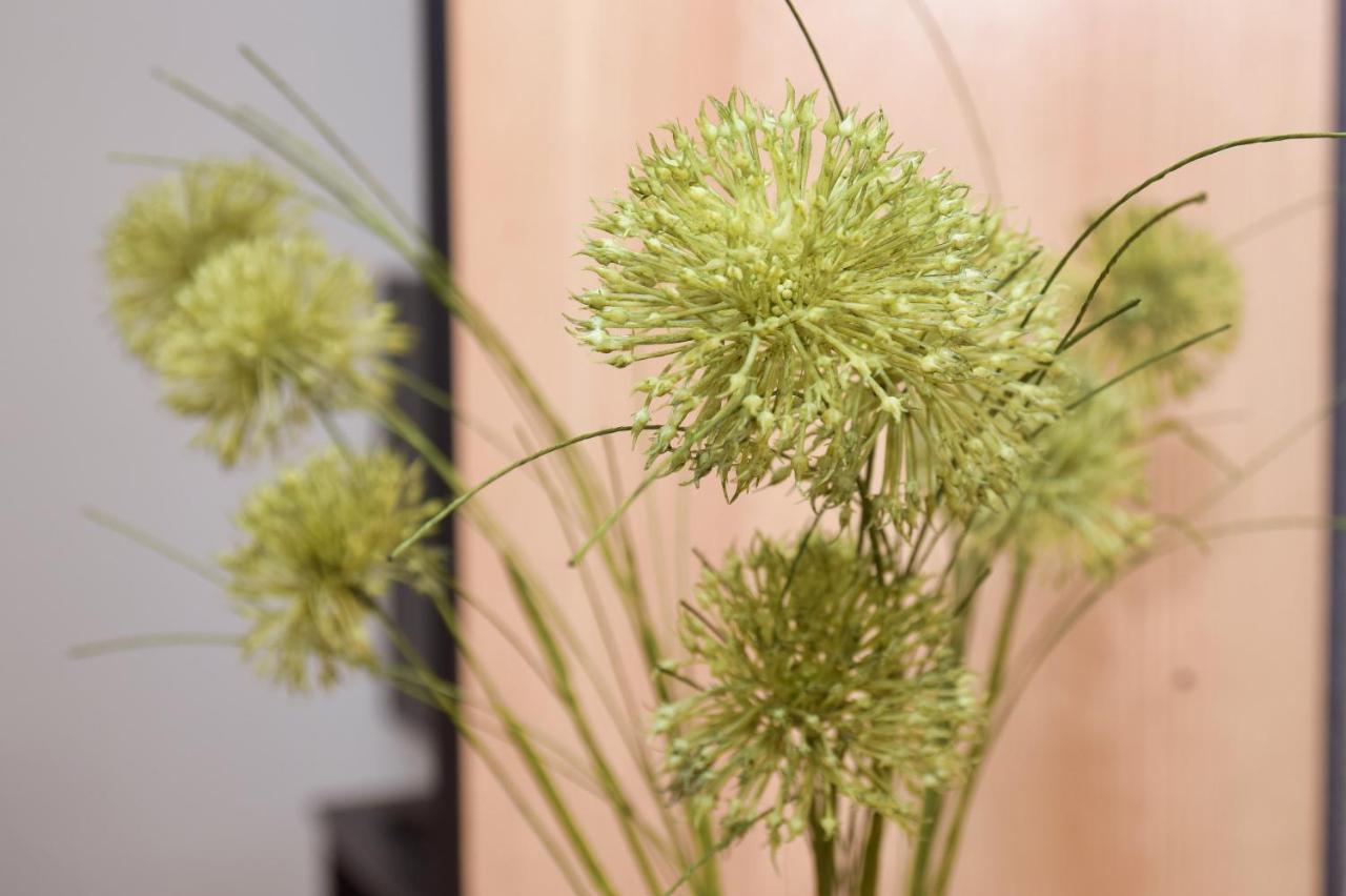 Apartman Buongiorno Jajca Kültér fotó